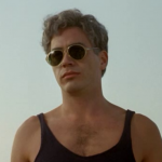 These sunglasses from Chaplin