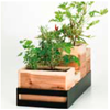 Stepped Wooden Planter Boxes