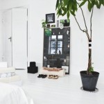White Room with Green Ficus